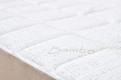 Bamboo 6