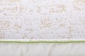 Bamboo 6
